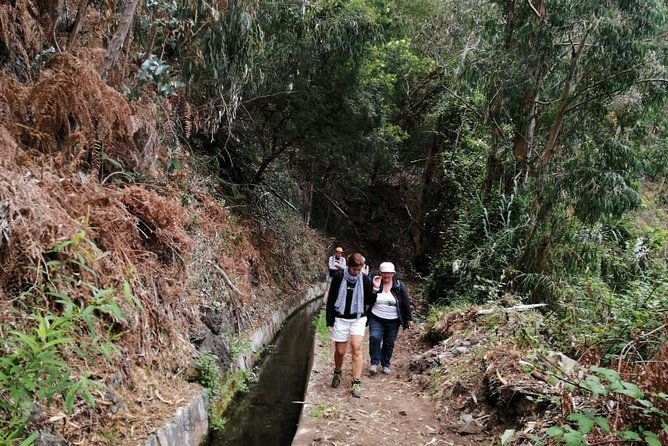 Hiking and Trekking tours in Madeira - The $120.02 price: what you are really paying for