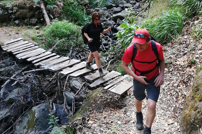 Hiking and Trekking tours in Madeira - What to pack for a seven-hour walk