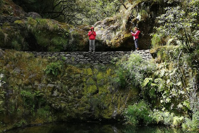 Hiking and Trekking tours in Madeira - Who will enjoy this Madeira hike most?