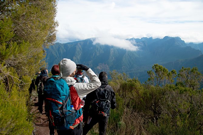 Hiking and Trekking tours in Madeira - A 9:00 am pickup keeps the morning simple