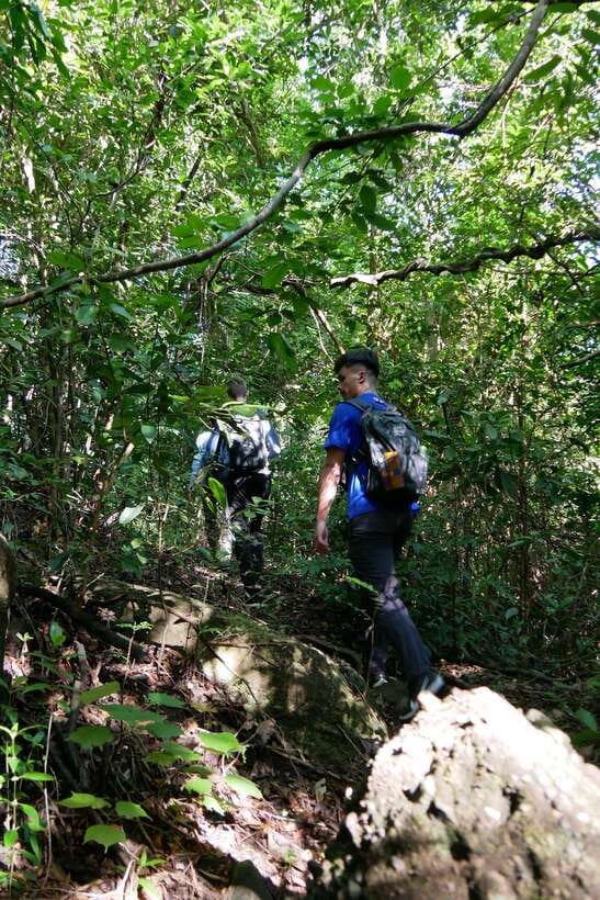 Hoi An: Amazing My Son Sanctuary and Mountain Trekking - Into the jungle on less-used paths