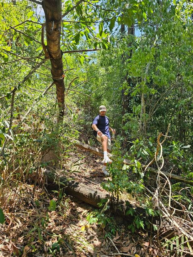 Hoi An: Amazing My Son Sanctuary and Mountain Trekking - Who should book this experience?