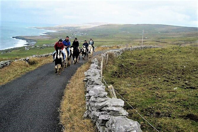 Horse riding - Dirt Trek Trail. Lisdoonvarna, Clare. Guided. 1 hour. - Arriving at Mountain View Horse Riding Centre