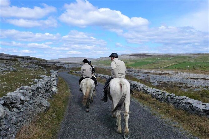 Horse riding - Dirt Trek Trail. Lisdoonvarna, Clare. Guided. 1 hour. - The views toward Moher, the Aran Islands, and Connemara
