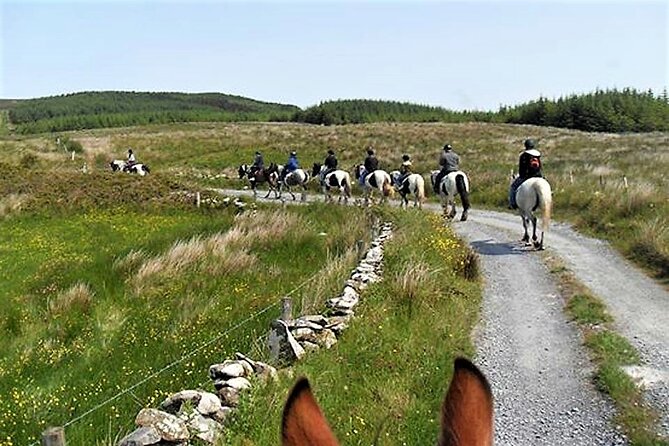 Horse riding - Dirt Trek Trail. Lisdoonvarna, Clare. Guided. 1 hour. - Guides who make beginners feel at ease