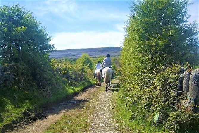 Horse riding - Dirt Trek Trail. Lisdoonvarna, Clare. Guided. 1 hour. - Practical details before you go