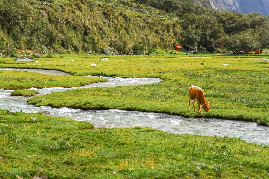 Huaraz: 3-hour Trek to Laguna 69 with Optional Lunch - Reaching the Blue Water of Laguna 69