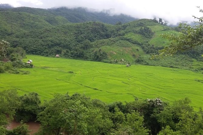 Hunter Trails, 3 days difficult trekking with Camping & Homestay - Key points to know before booking