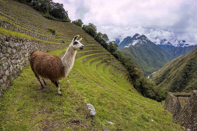 Inca Trail Trek to Machu Picchu - 2 Days (Small Group or Private) - Why this two-day Inca Trail trip works