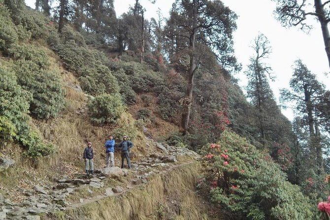 Indrahar Pass Trek with Manu Adventures India - The final climb to Indrahar Pass at 4,342 meters