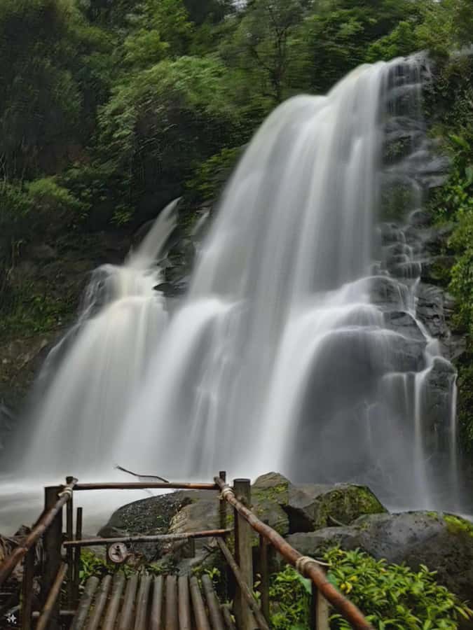 Inthanon national park, Trekking and Sightseeing in one day. - Why this Doi Inthanon day trip works