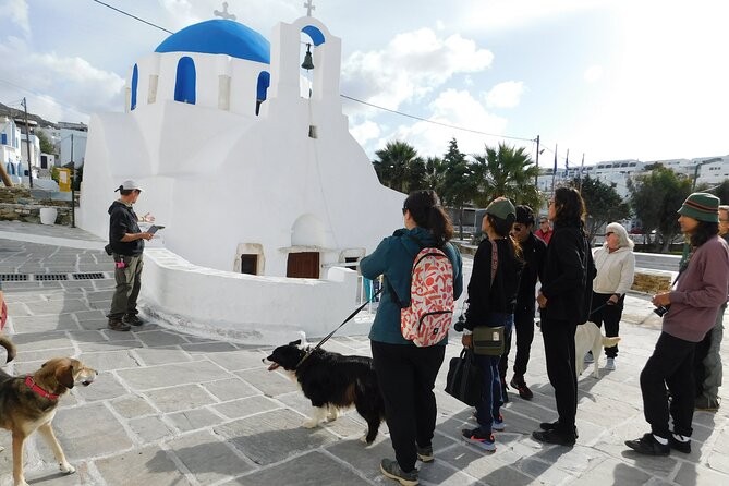Ios Island Trekking Tours: Discover Ios Unexplored - Price, Group Size, and Overall Value