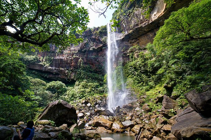 Iriomote’s Adventure: Pinaisara Falls Canoe and Trekking Tour - Walking through Iriomote’s subtropical forest