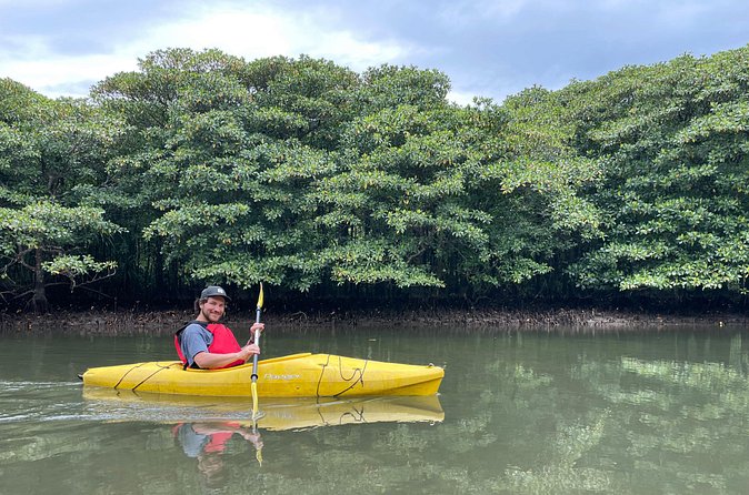 Iriomote’s Adventure: Pinaisara Falls Canoe and Trekking Tour - What the guides add to the day