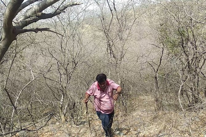 Jaipur Trekking and Hiking Tour with Guide - Reaching the sunrise viewpoint