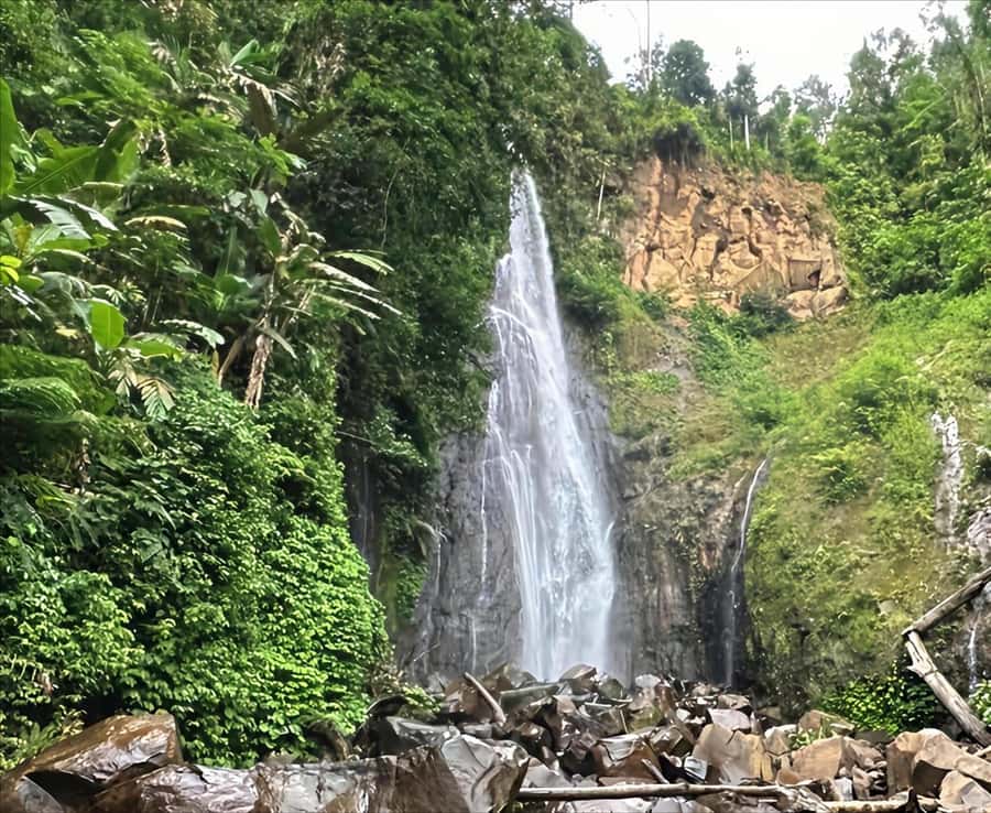 Jakarta: Botanical Garden & Rainforest Trekking to Waterfall - Why this makes a good escape from Jakarta