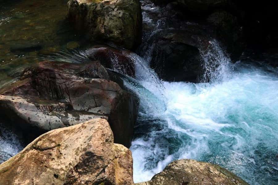 Jakarta: Botanical Garden & Rainforest Trekking to Waterfall - The rainforest route to Cikaracak Waterfall