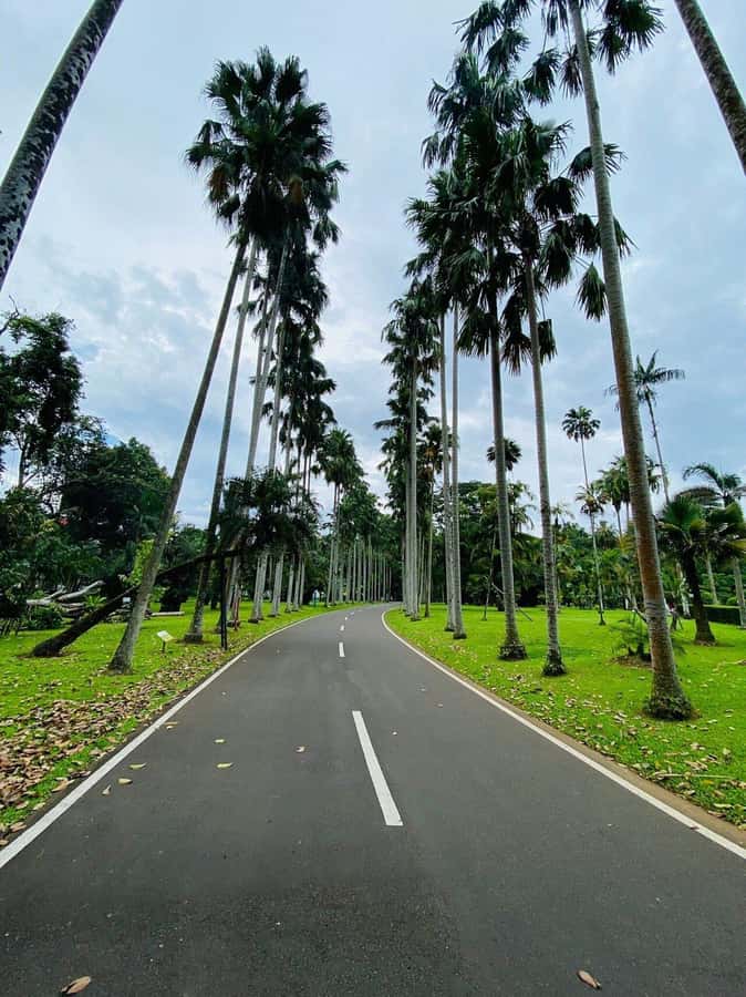 Jakarta: Botanical Garden & Rainforest Trekking to Waterfall - Guides, drivers, and the private format