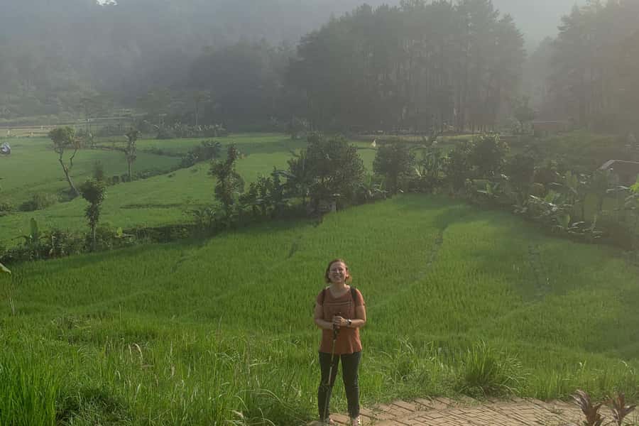 Jakarta: Sentul Pine Forest and Waterfall Trekking Tour - Is $89 good value?