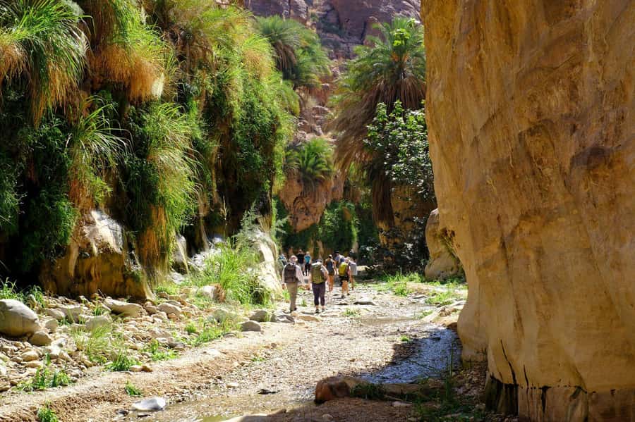Jordan Trail: Dana to Petra 4-Day Trekking Tour - What the $499 price really covers