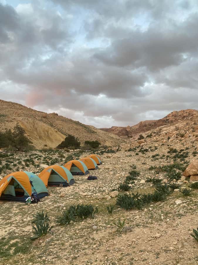 Jordan Trail: Dana to Petra 4-Day Trekking Tour - Guide quality and the value of local knowledge