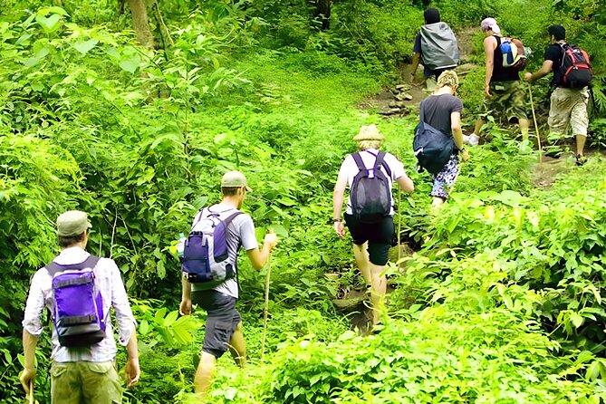 Jungle Trekking and Tamblingan Lake Canoeing in Bali Rainforest - The 7:30 am Pickup and Ride Into the Highlands
