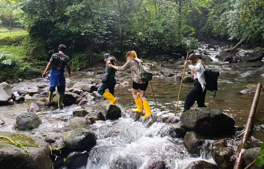 Jungle Trekking at Mt. Batukaru, scenic Waterfall & village - Five details that make this day different