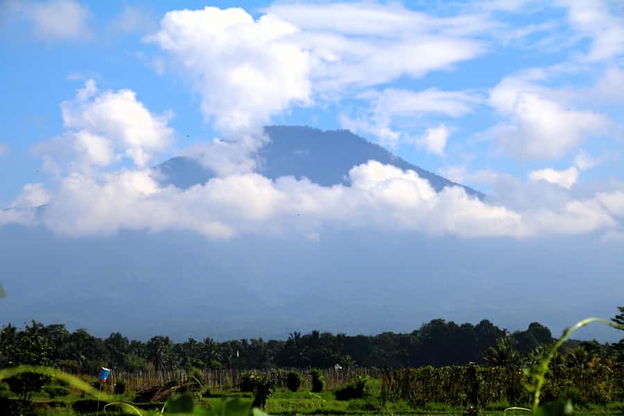 Jungle Trekking at Mt. Batukaru, scenic Waterfall & village - Coffee, snacks, and a quiet jungle temple