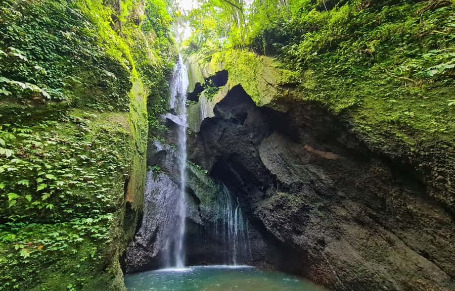 Jungle Trekking at Mt. Batukaru, scenic Waterfall & village - Who should book this Mount Batukaru day
