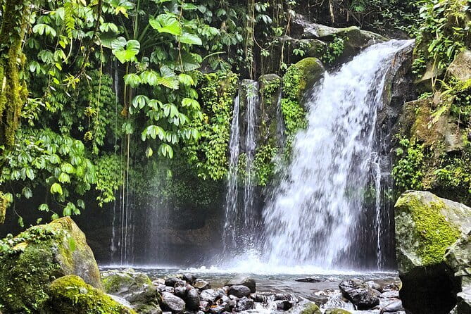Jungle Trekking at Mt. Batukaru, scenic Waterfall & village life - Why Mount Batukaru Is Worth Your Day
