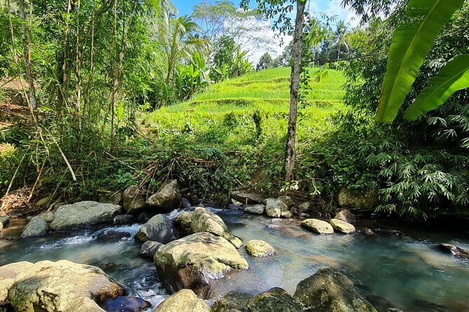 Jungle Trekking at Mt. Batukaru, scenic Waterfall & village life - Pura Luhur Batukaru: A Quiet Start at the Mountain