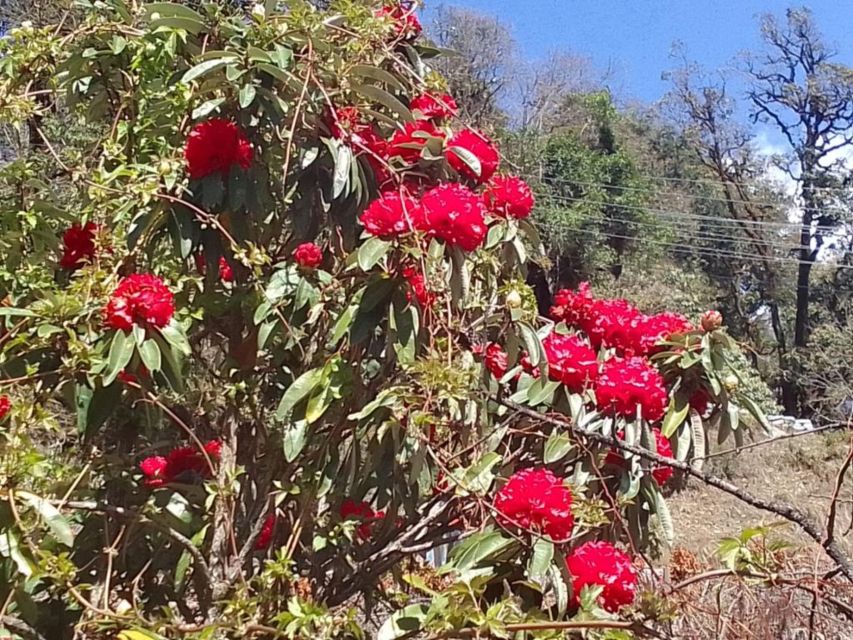 Kathmandu: 10-Day Adventurous Annapurna Circuit Trek - Key points before you book