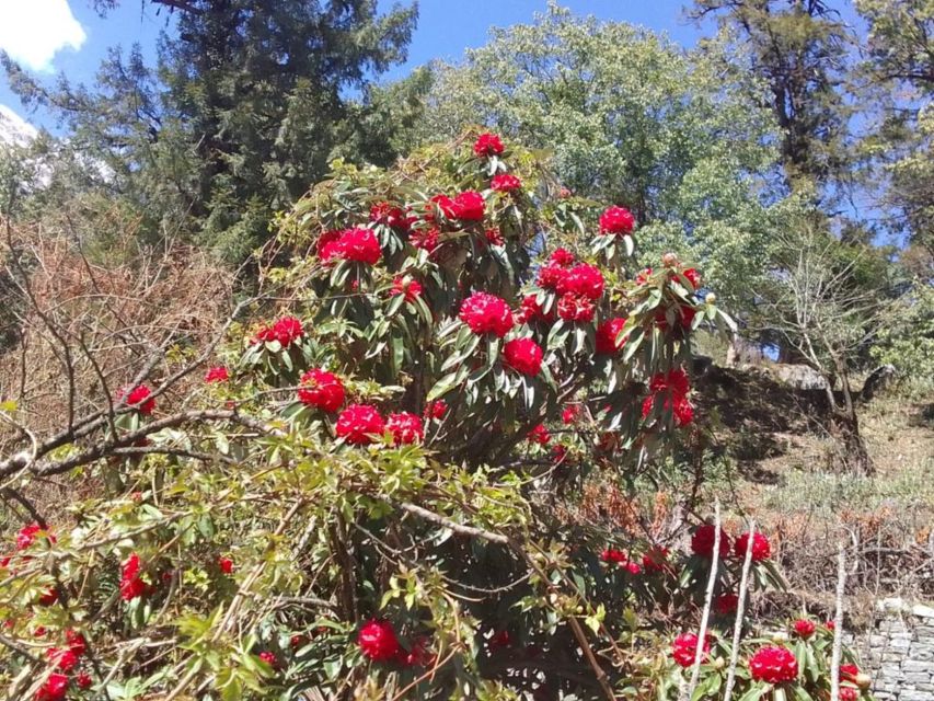 Kathmandu: 10-Day Adventurous Annapurna Circuit Trek - Day 4: Upper Pisang to Manang