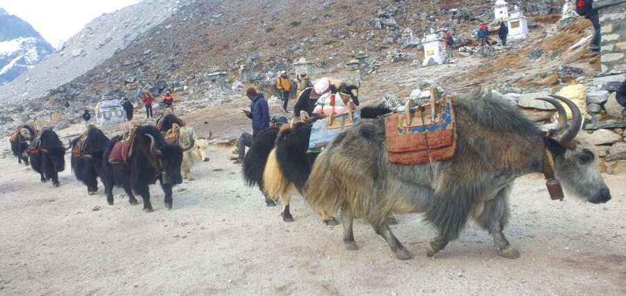 Kathmandu: 14-Day Everest Base Camp with Kala Patthar Trek - Kala Patthar at 5,545 Meters