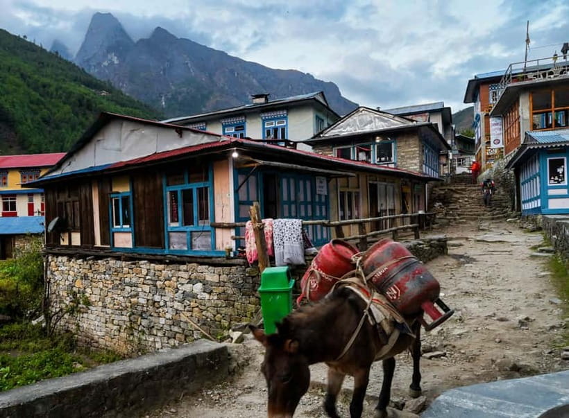 Kathmandu: 15-Day Everest Base Camp Trek with Guide - Day 3: The Lukla flight and Phakding