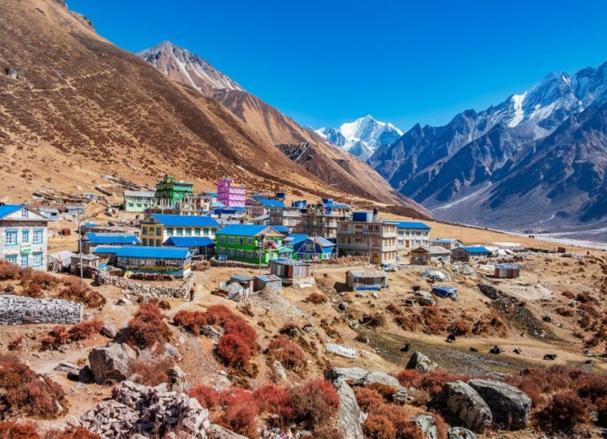 Kathmandu: 6-Day Limitless Langtang Trek - Day 5: A long descent to Syabrubesi