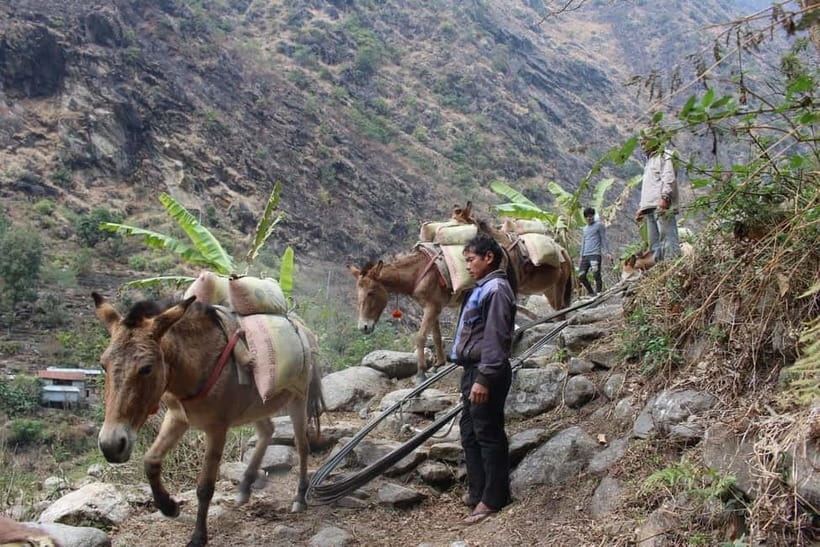 Kathmandu: 9-Day Annapurna Circuit Trek via Thorong La Pass - Day 5: Acclimatization around Manang