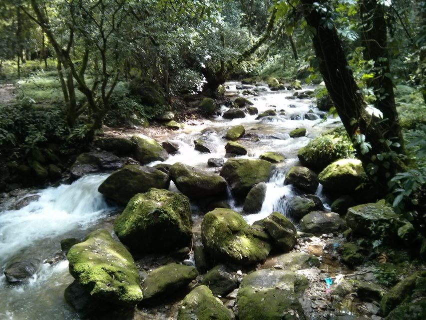 Kathmandu: Chisapani Nagarkot 3-Days 2-Nights Trek - Day One: Sundarijal to Chisapani Through Forest and Villages