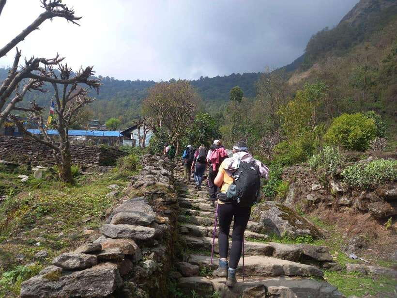 Kathmandu/Pokhara: 5-Day Annapurna Base Camp (ABC) Trek - Day 5: Jhinu Danda hot springs and the road back