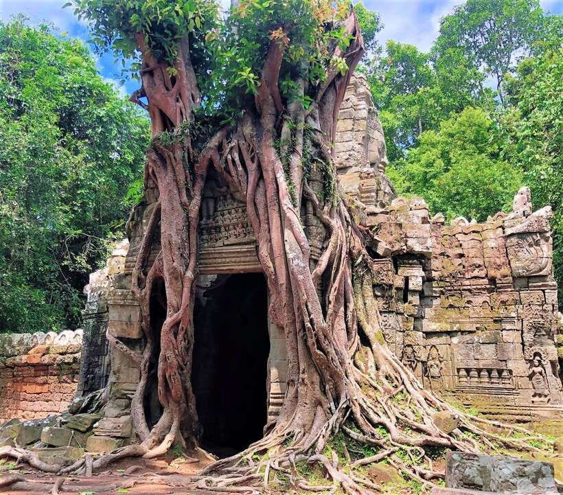 Kbal Spean Trekking Tour with Banteay Srei & Landmine Museum - The Cambodia Landmine Museum: a serious final stop
