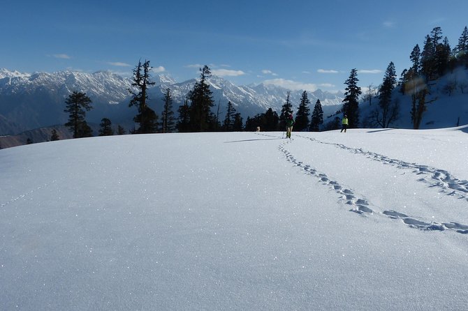 Kedarkantha Trek - Day 5: Returning to Sankri on foot