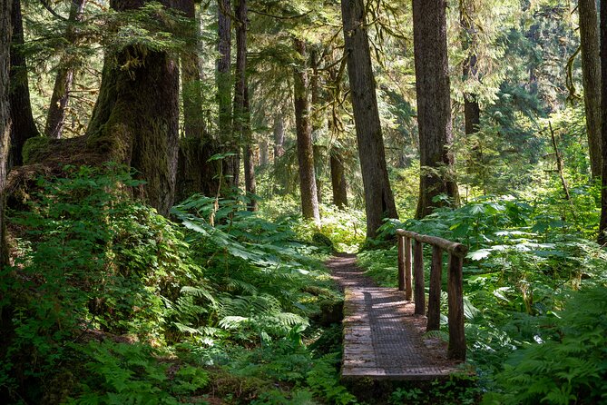 Ketchikan Magical Old-Growth Creek Trek Guided Tour - How hard is the 3.6-mile route?