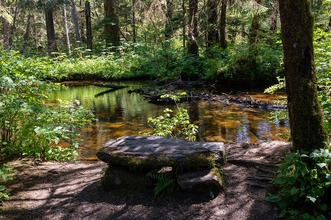 Ketchikan Magical Old-Growth Creek Trek Guided Tour - Who should book this experience?