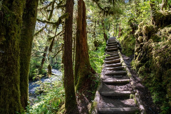 Ketchikan Magical Old-Growth Creek Trek Guided Tour - Along the creek through Tongass National Forest