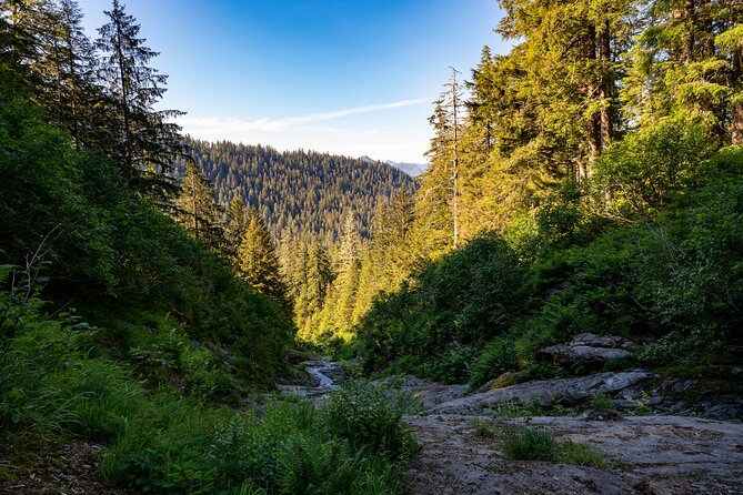 Ketchikan Mountain Lake Trek to Avalanche Chute - The guide-led side of the experience