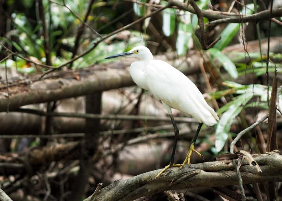Khao Lak's Little Amazon: Canoe, Trek & Waterfall Day Trip - Who will enjoy this day most