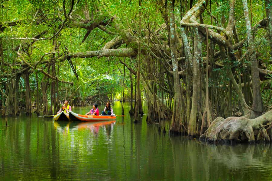 Khao Lak's Little Amazon: Canoe, Trek & Waterfall Day Trip - A seven-hour day with several very different faces
