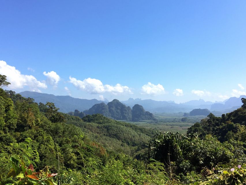 Khao Sok Jungle Day Trip - Jungle Trekking & Bamboo Rafting - An early start from your hotel