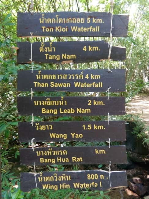 Khao Sok Jungle Day Trip - Jungle Trekking & Bamboo Rafting - Bamboo rafting with local paddle guides