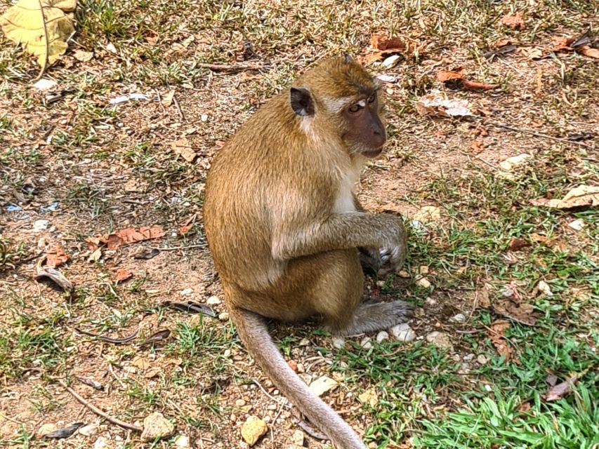 Khao Sok Jungle Day Trip - Jungle Trekking & Bamboo Rafting - Is $98 a fair price?